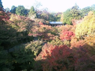 tsutenkyo.jpg 320240 33K