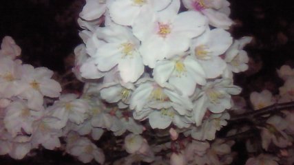 200903271922000_2.jpg 427240 18K