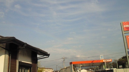 201004091704000.jpg 427240 28K